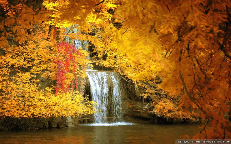 Autumn Waterfall — Yellow, Serene, Photograph