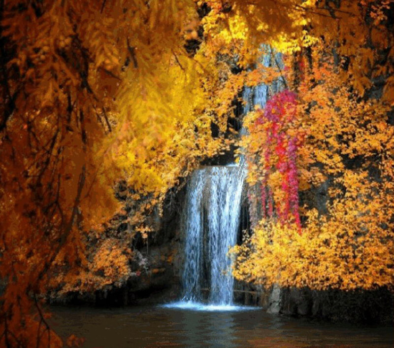 Autumn Waterfall — Yellow, Serene, Photograph, Trees, Falling Water, Pool