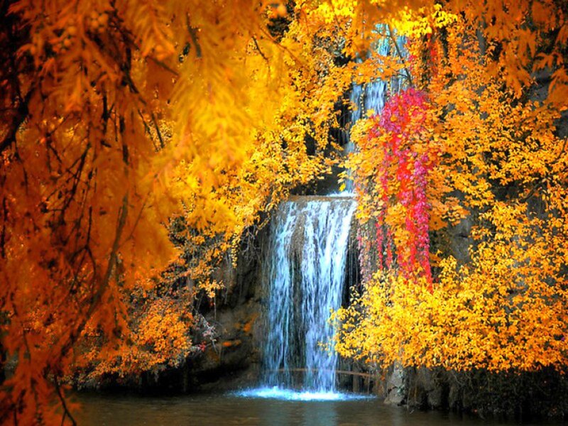 Autumn Waterfall — Yellow, Serene, Photograph, Trees, Falling Water