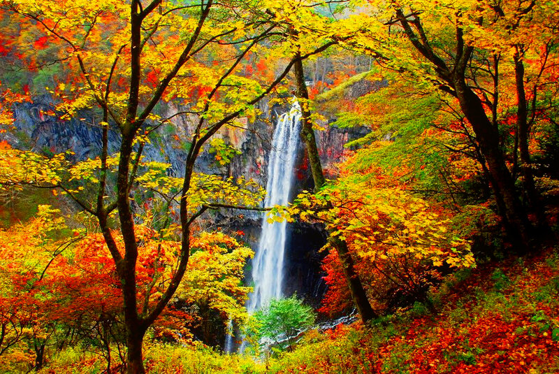 Autumn Waterfall — Yellow, Serene, Photograph, Trees, Forest