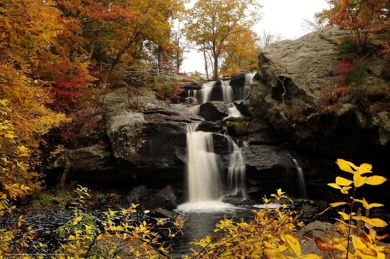 Autumn Waterfall — Yellow, Serene, Photograph, Trees, Rocks, Stream