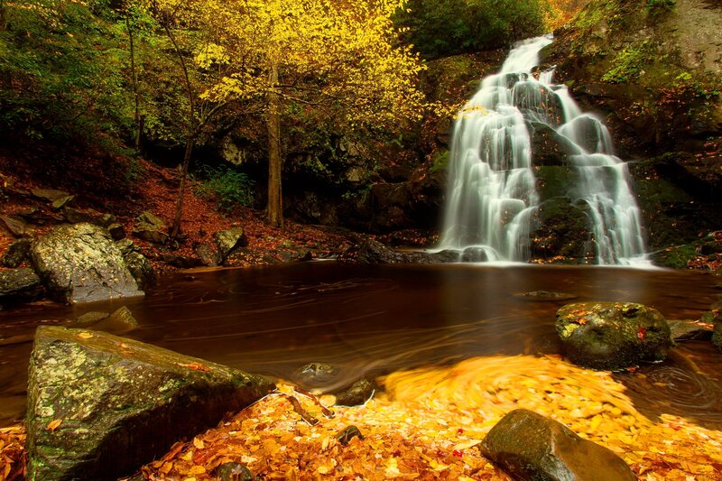 Autumn Waterfall — Yellow, Serene, Photograph, Trees, Rocks