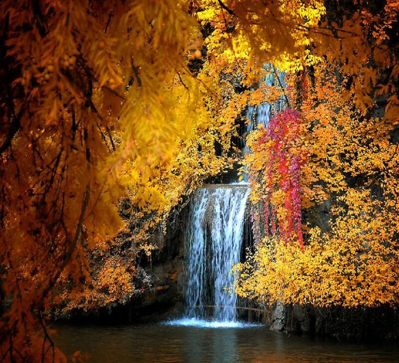 Autumn Waterfall — Yellow, Serene, Photograph, Trees