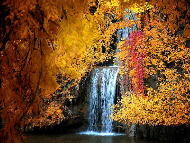 Autumn Waterfall — Yellow, Serene