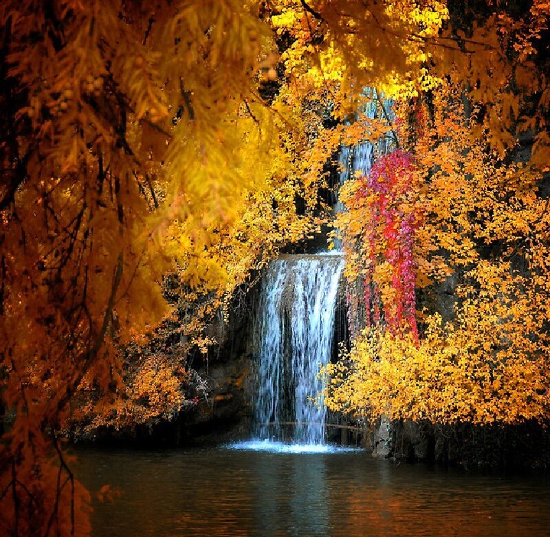 Autumn Waterfall — Yellow