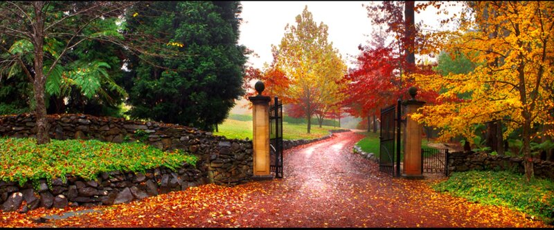 Autumnal Driveway Entrance