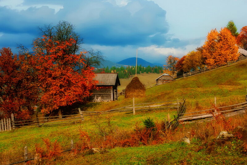 Autumnal Farm Landscape
