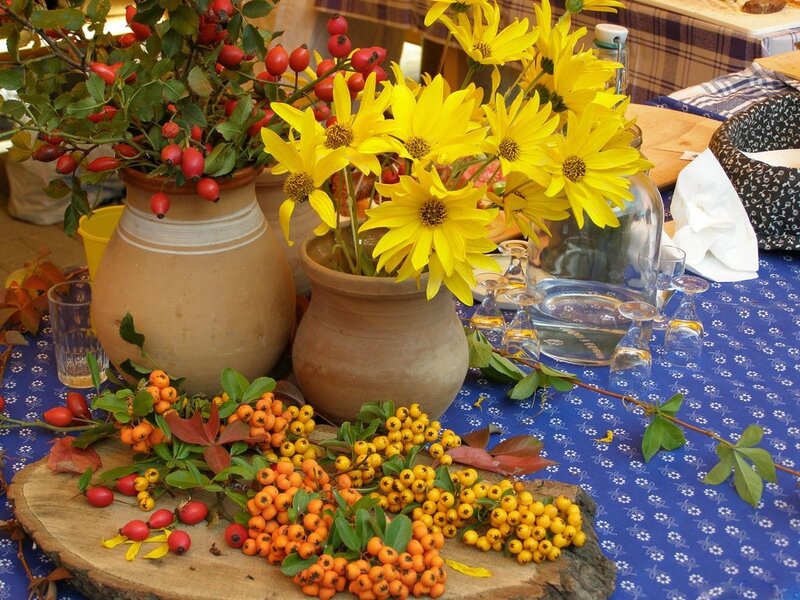 Autumnal Fruit and Flowers