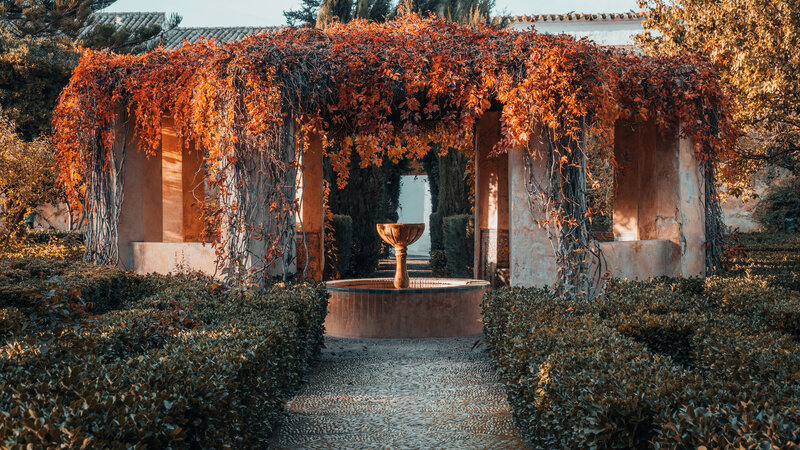 Autumnal Garden Arbor