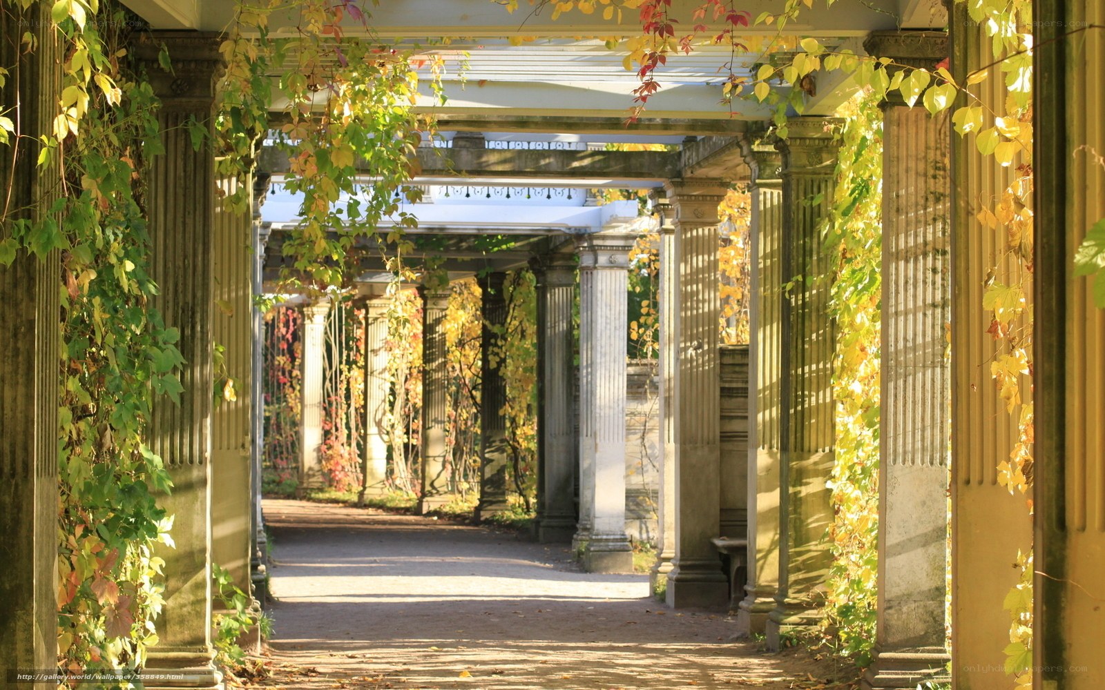 Autumnal garden pergola
