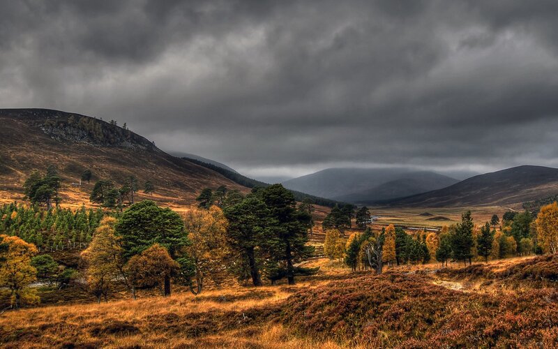 Autumnal Hills with Trees