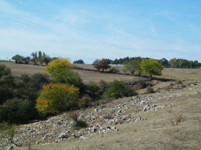 Autumnal Hillside Landscape