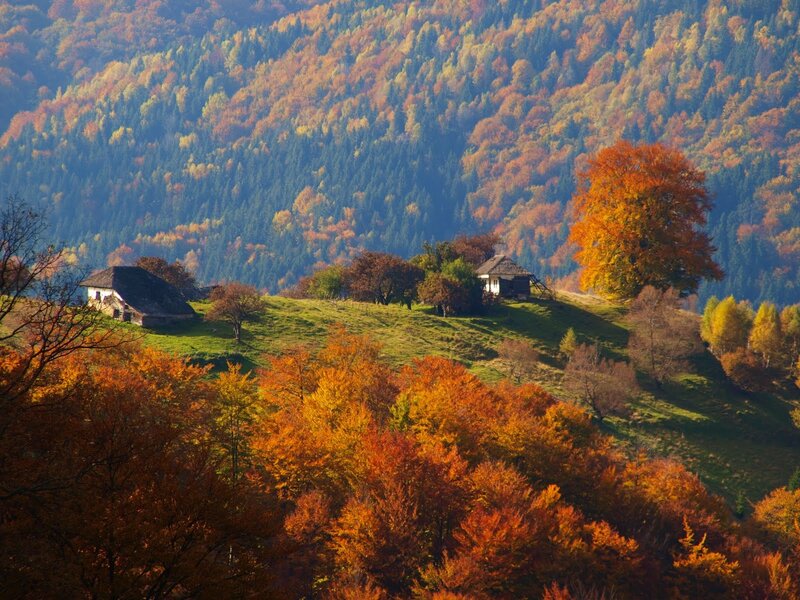 Autumnal Hillside Village