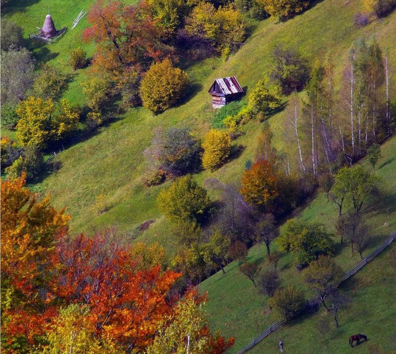 Autumnal Hillside with Cabin