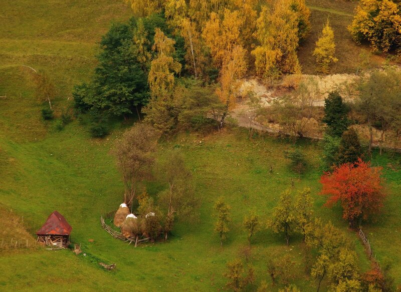 Autumnal Hillside with Hay Bales