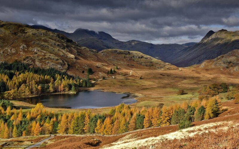 Autumnal Lake in Mountains — Brown