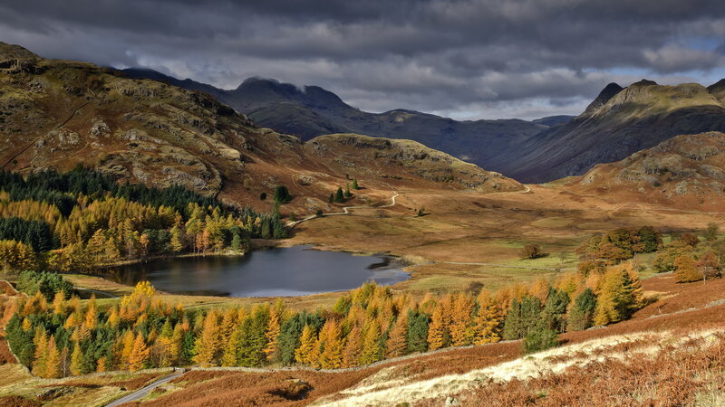 Autumnal Lake in Mountains