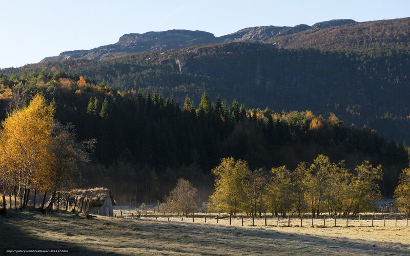 Autumnal Mountain Landscape — Green, Serene