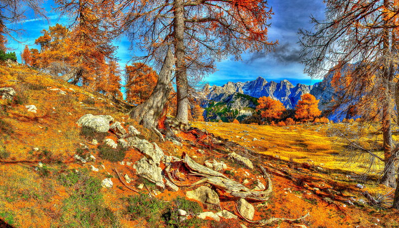 Autumnal Mountain Landscape — Orange, Dramatic