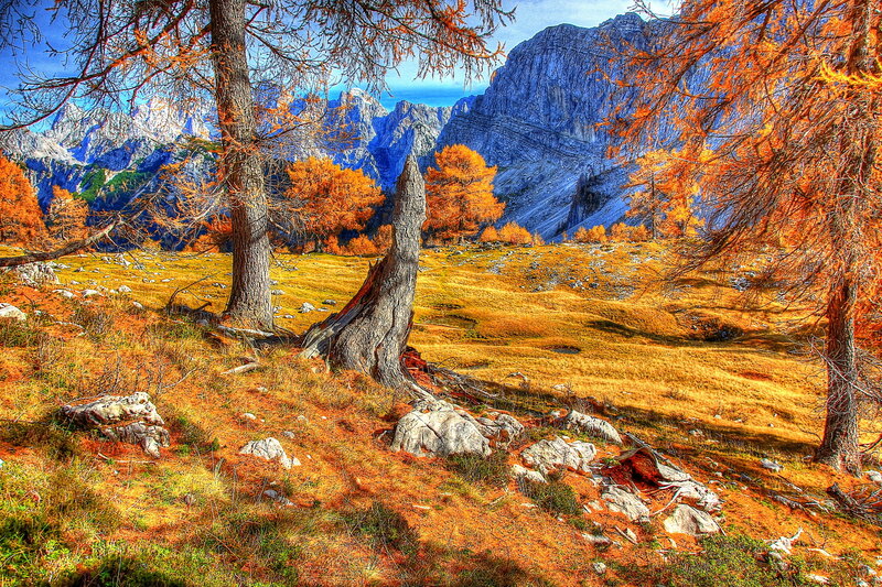 Autumnal Mountain Landscape — Orange, Serene