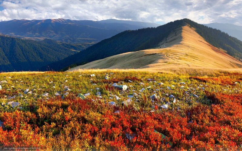 Autumnal Mountain Landscape — Red