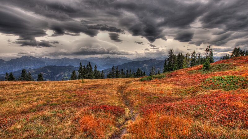 Autumnal Mountain Meadow — Red, Dramatic
