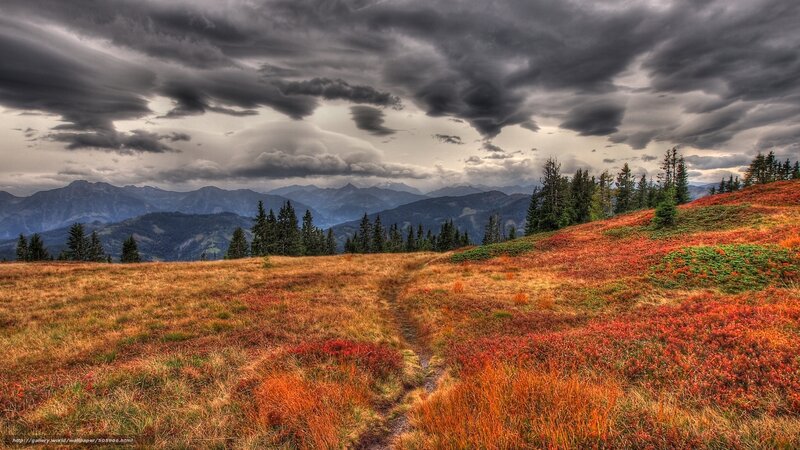 Autumnal Mountain Meadow — Red
