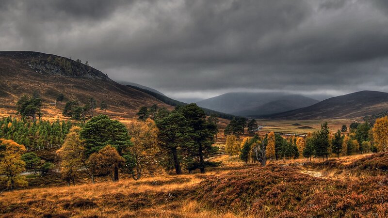 Autumnal Mountain Valley — Brown