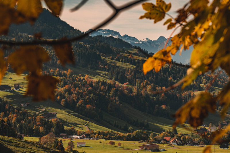 Autumnal Mountain Valley — Green, Serene, Autumn, Photograph, Trees