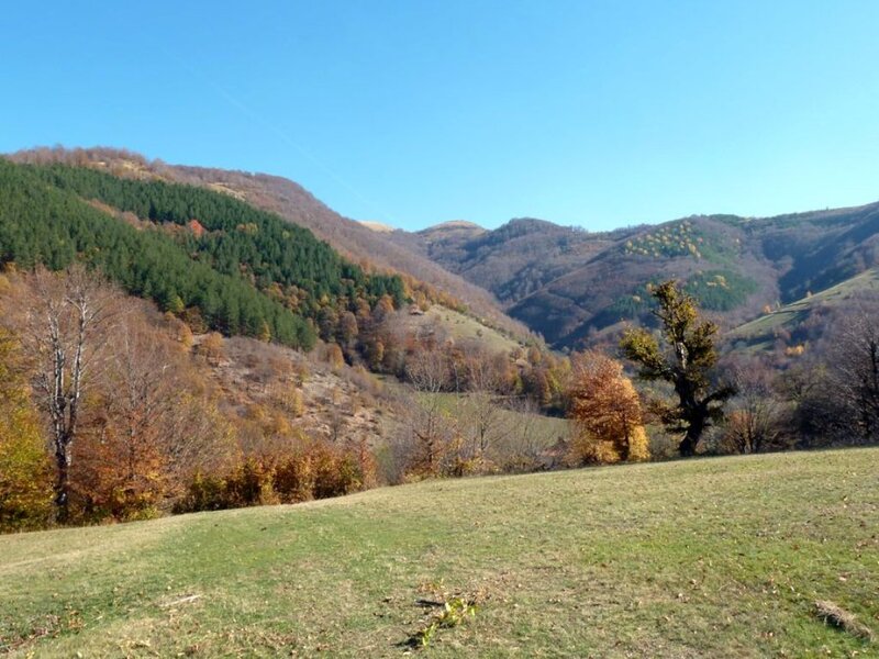 Autumnal Mountain Valley — Green, Serene, Autumn