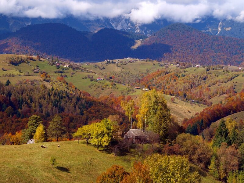 Autumnal Mountain Valley — Green, Serene