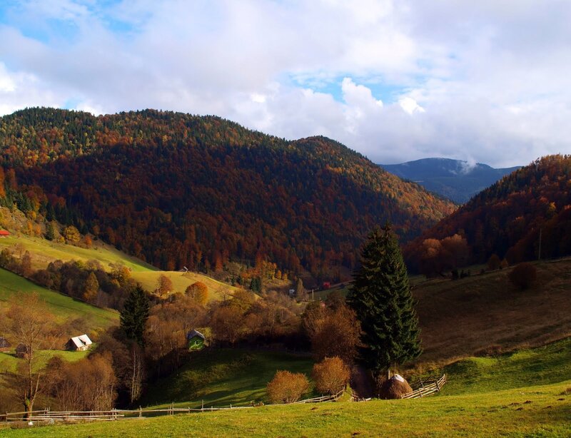 Autumnal Mountain Valley — Green