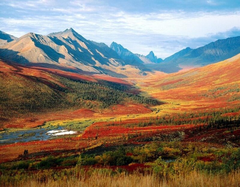 Autumnal Mountain Valley — Red, Serene