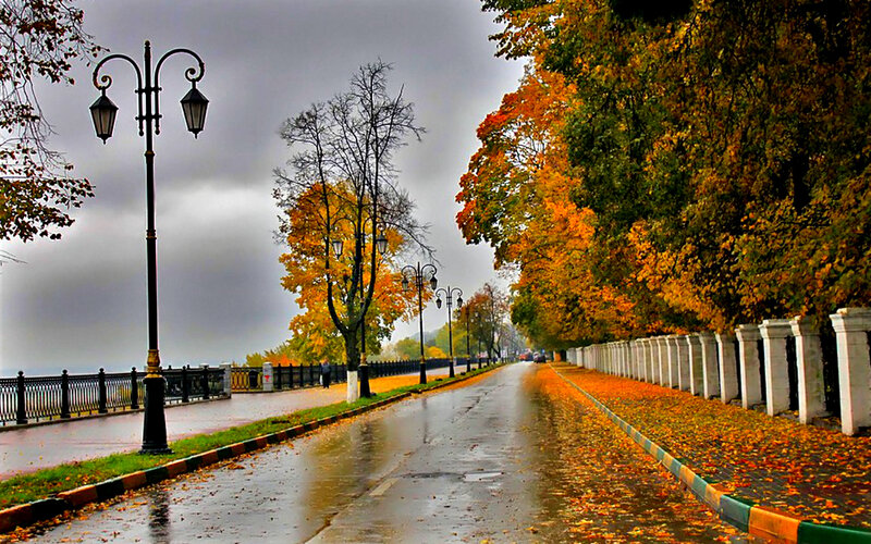 Autumnal Park Pathway