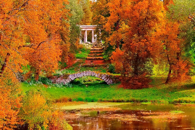 Autumnal Park with Temple
