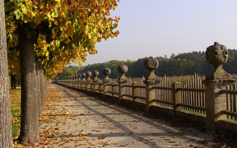 Autumnal Pathway with Fence