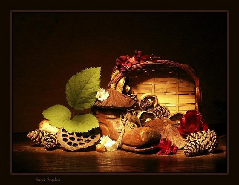 Autumnal Still Life — Brown