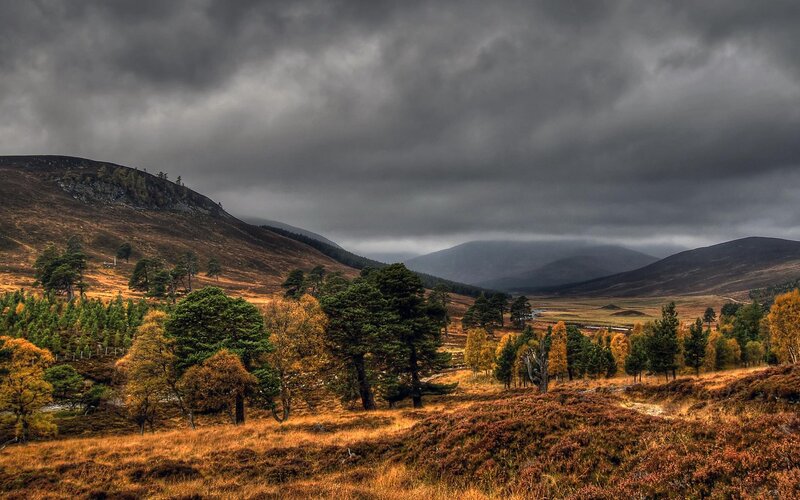 Autumnal Valley Landscape — Brown, Dramatic, Autumn