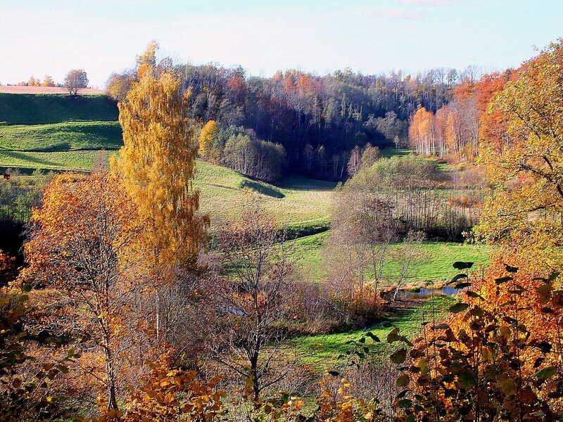 Autumnal Valley Landscape — Green, Serene
