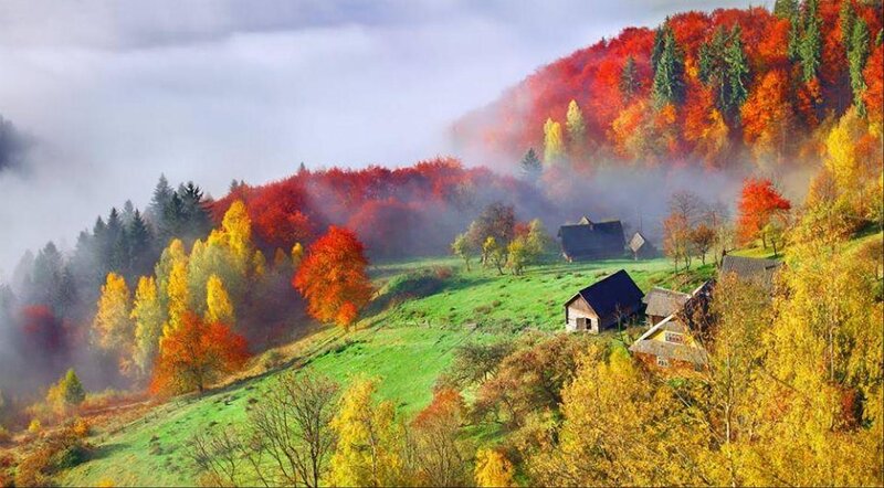 Autumnal Village in Fog