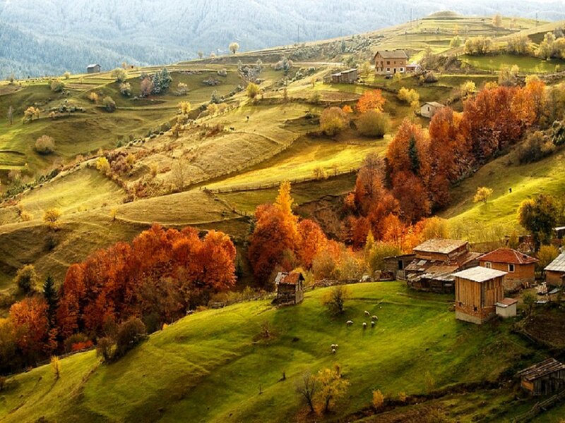 Autumnal Village on Hills