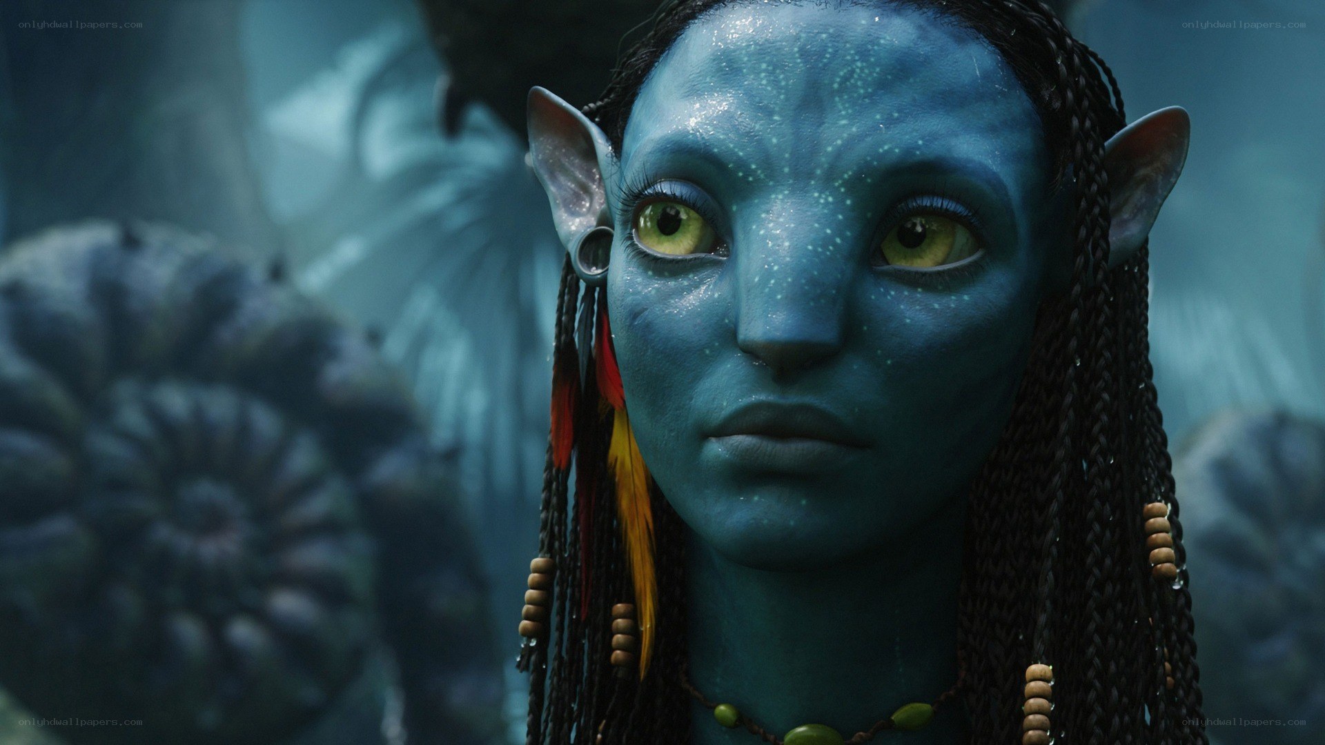 Avatar character close-up
