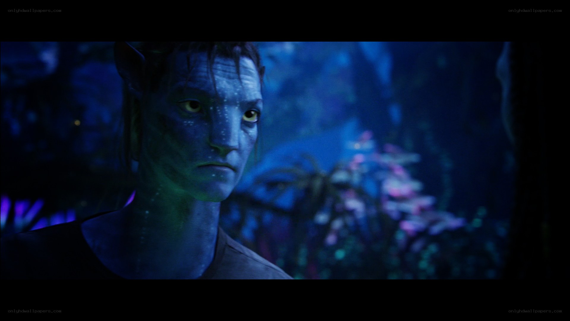 Avatar character in dark forest