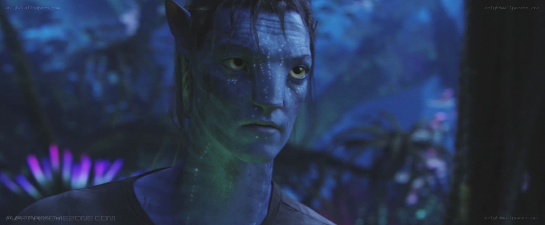 Avatar character in forest