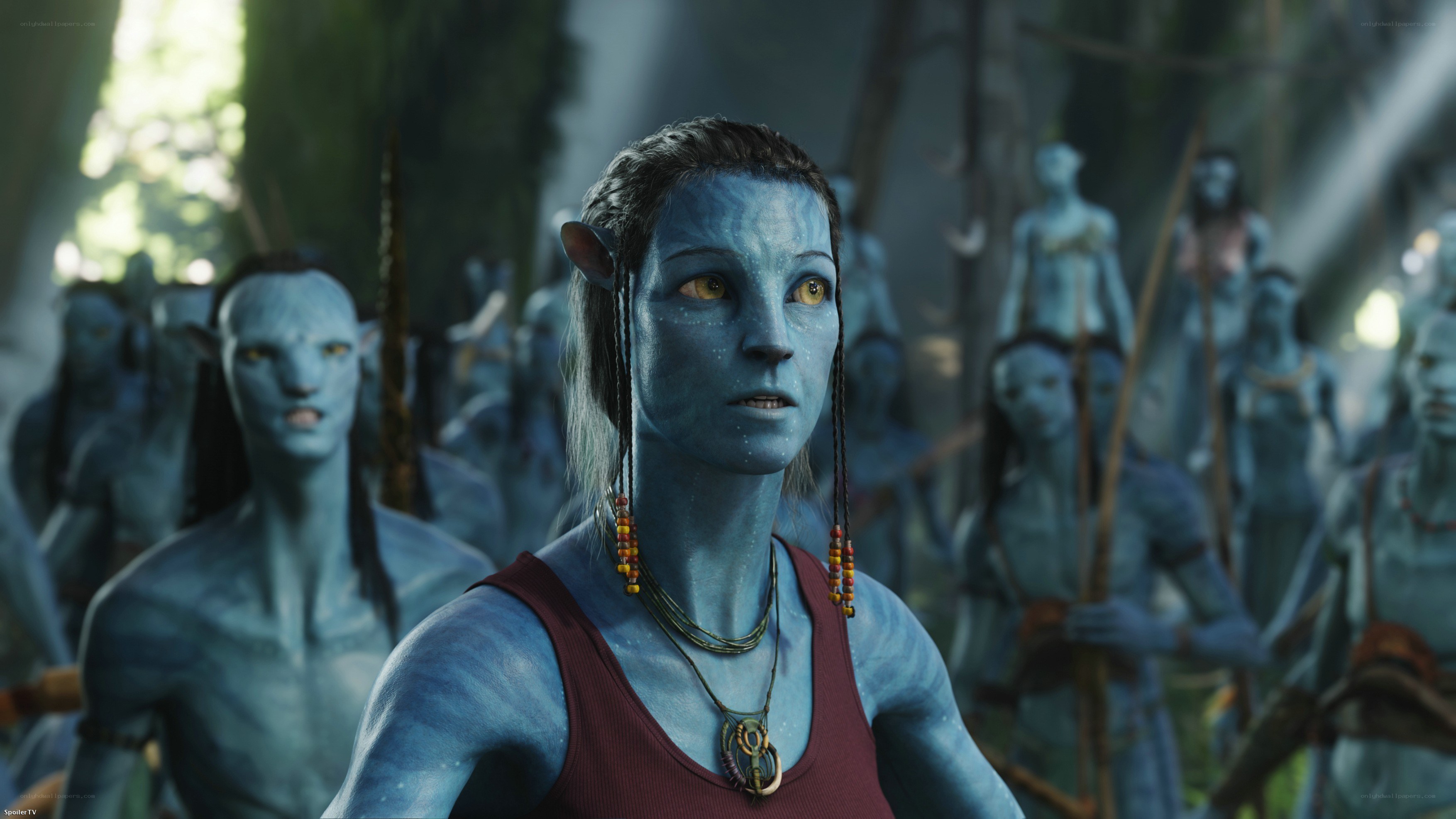 Avatar character in tribal gathering
