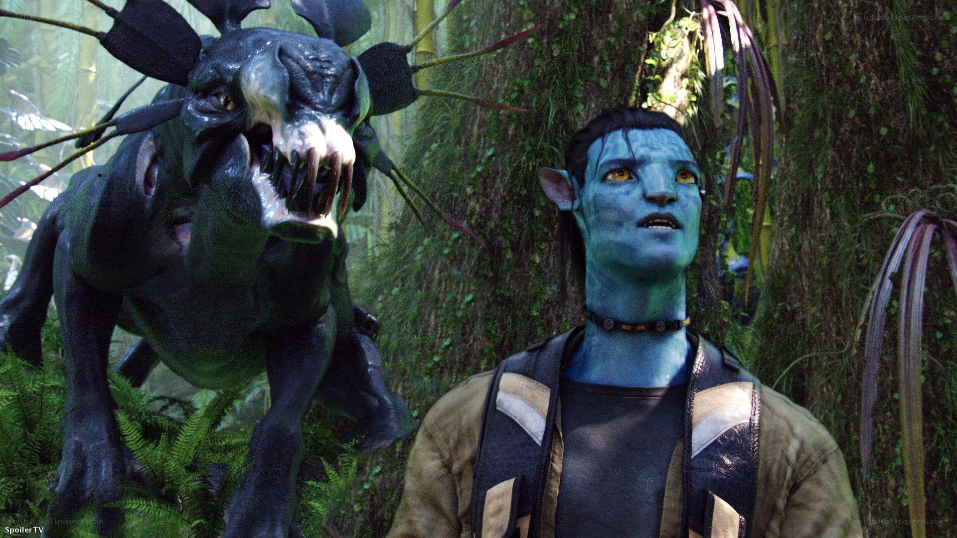 Avatar character with banshee