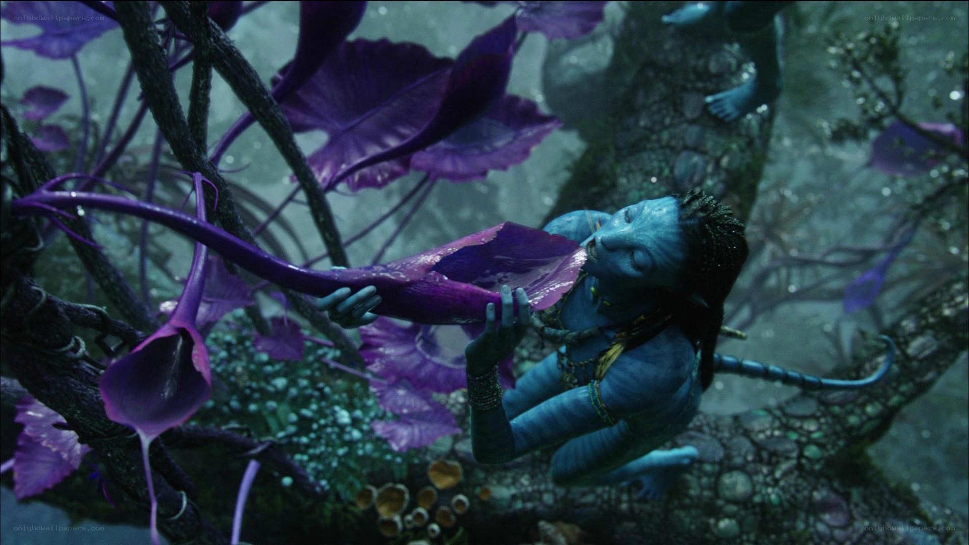 avatar character with purple plant