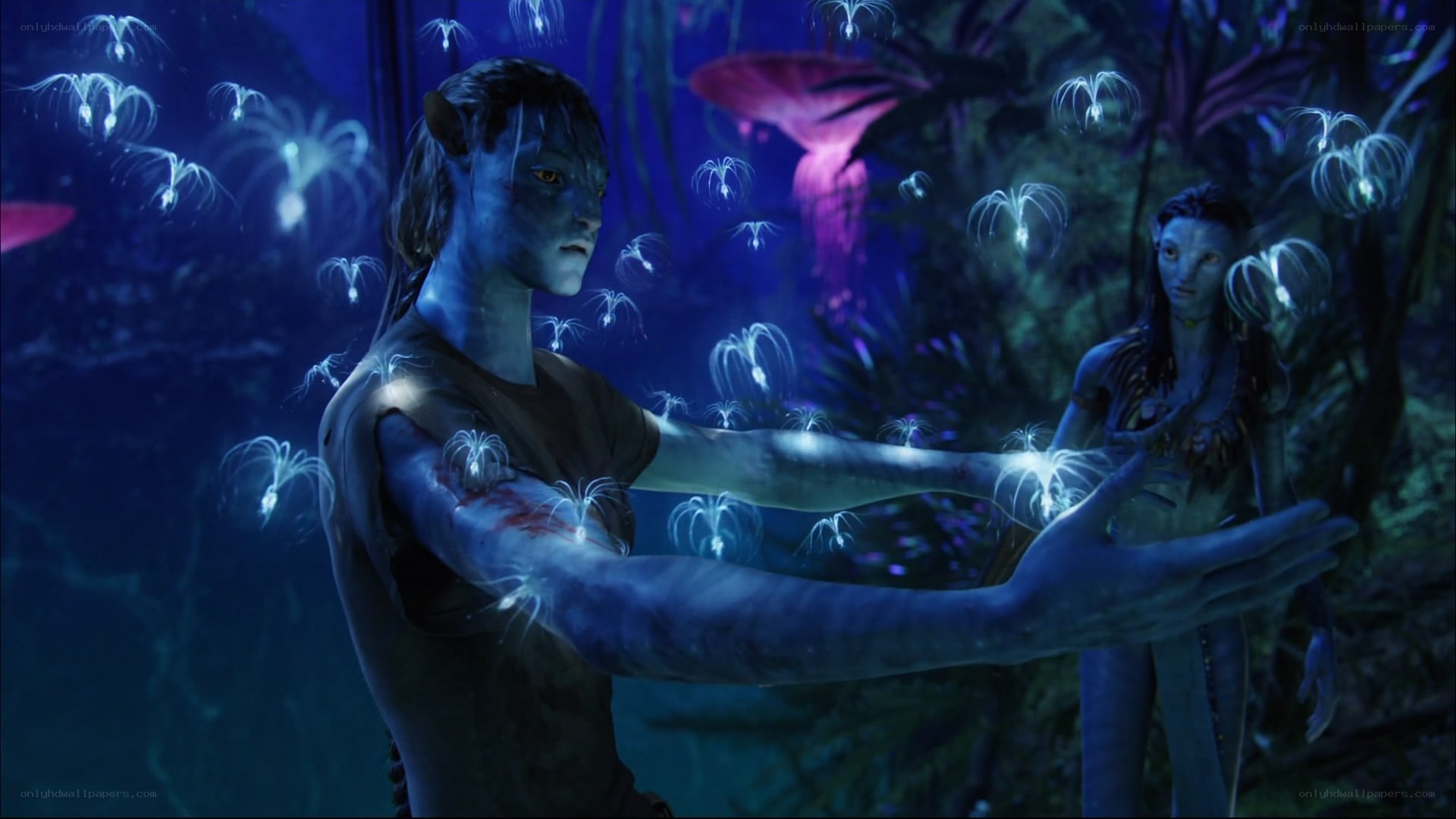 Avatar characters in bioluminescent forest