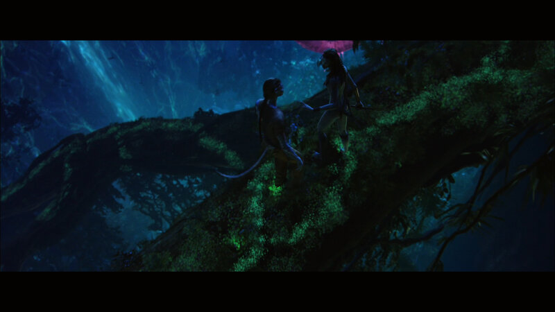 Avatar characters in forest