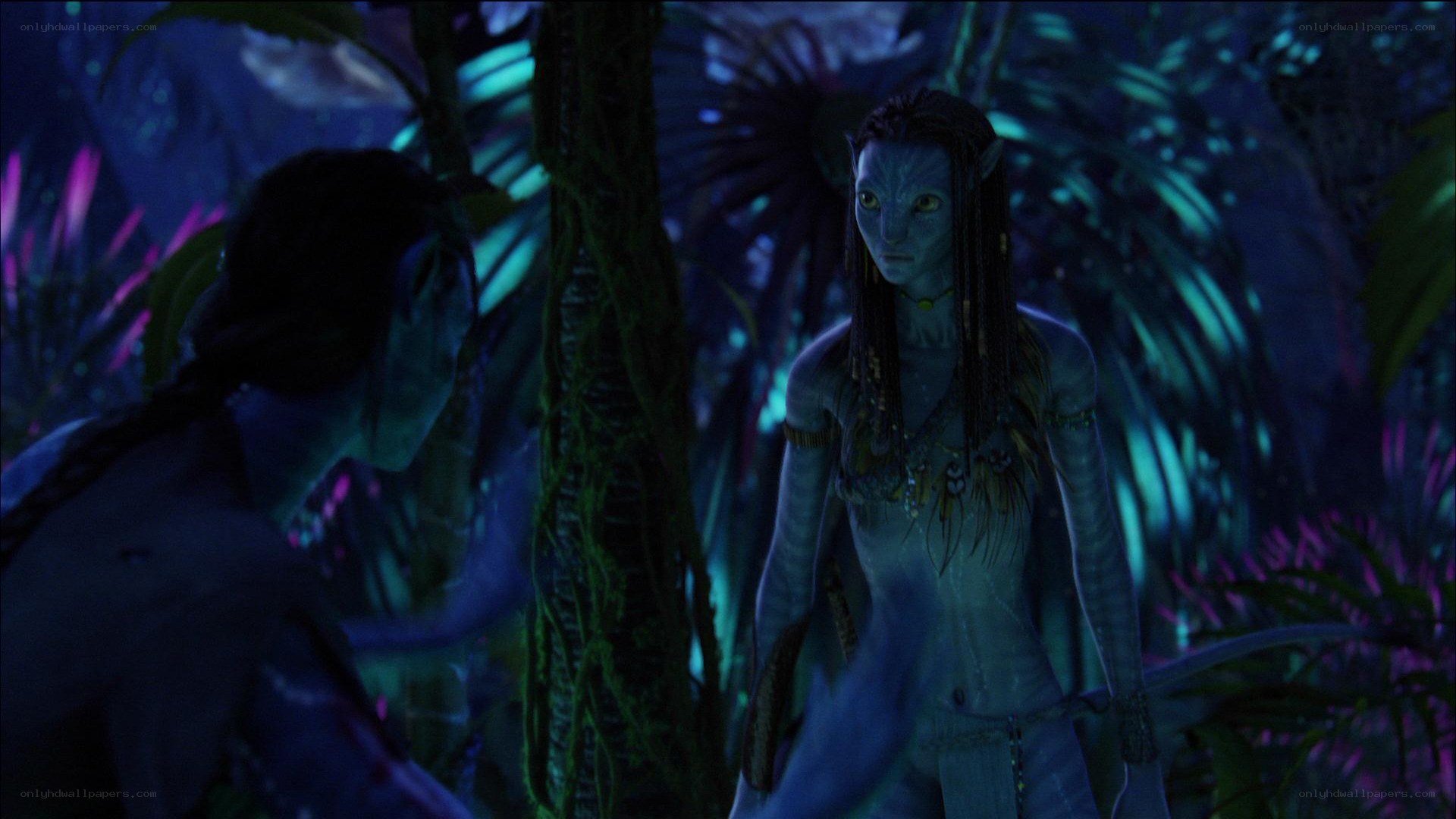 Avatar characters in jungle